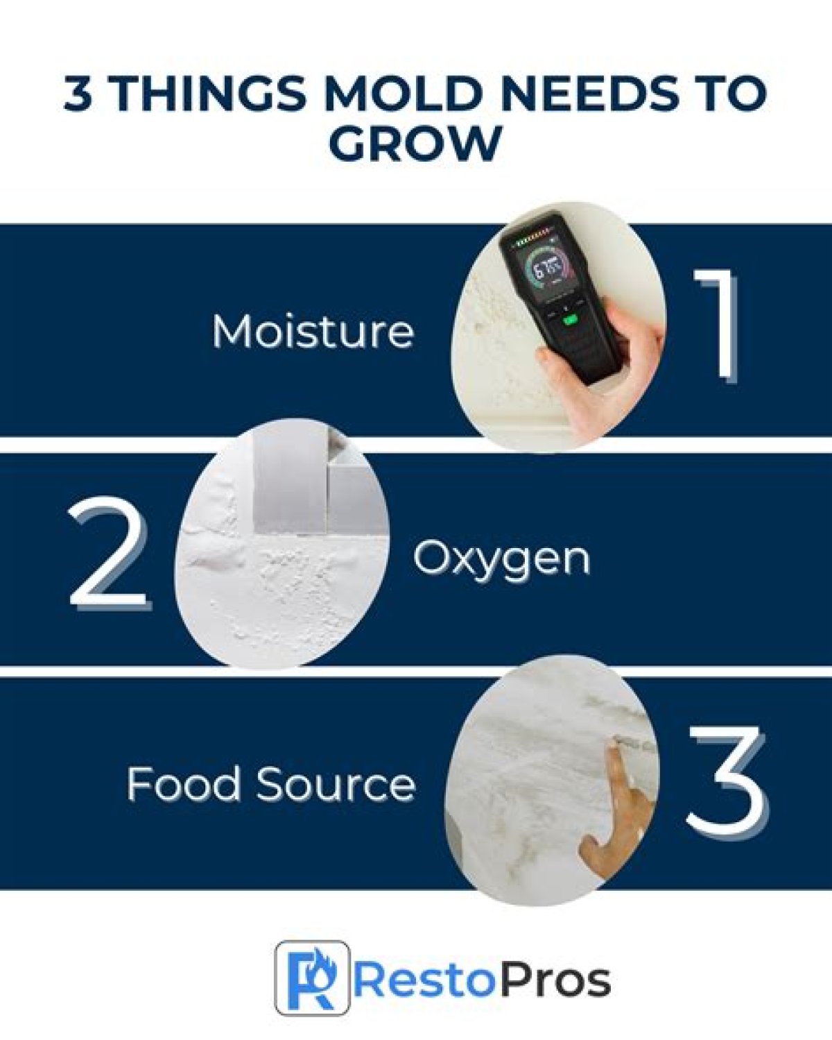 How Hidden Mold in Food Can Make You Gain Weight