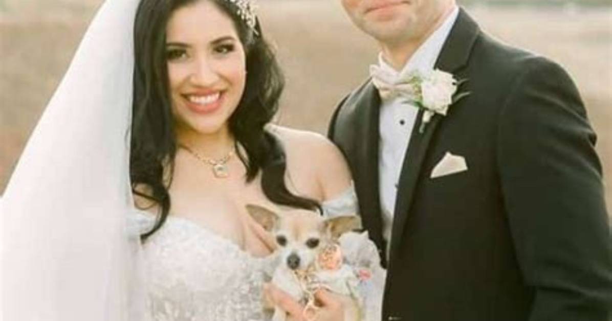 How Is Nazy Javid's Married Life Going with Her Husband, Edward Wilson? See All the Details of Her Wedding!