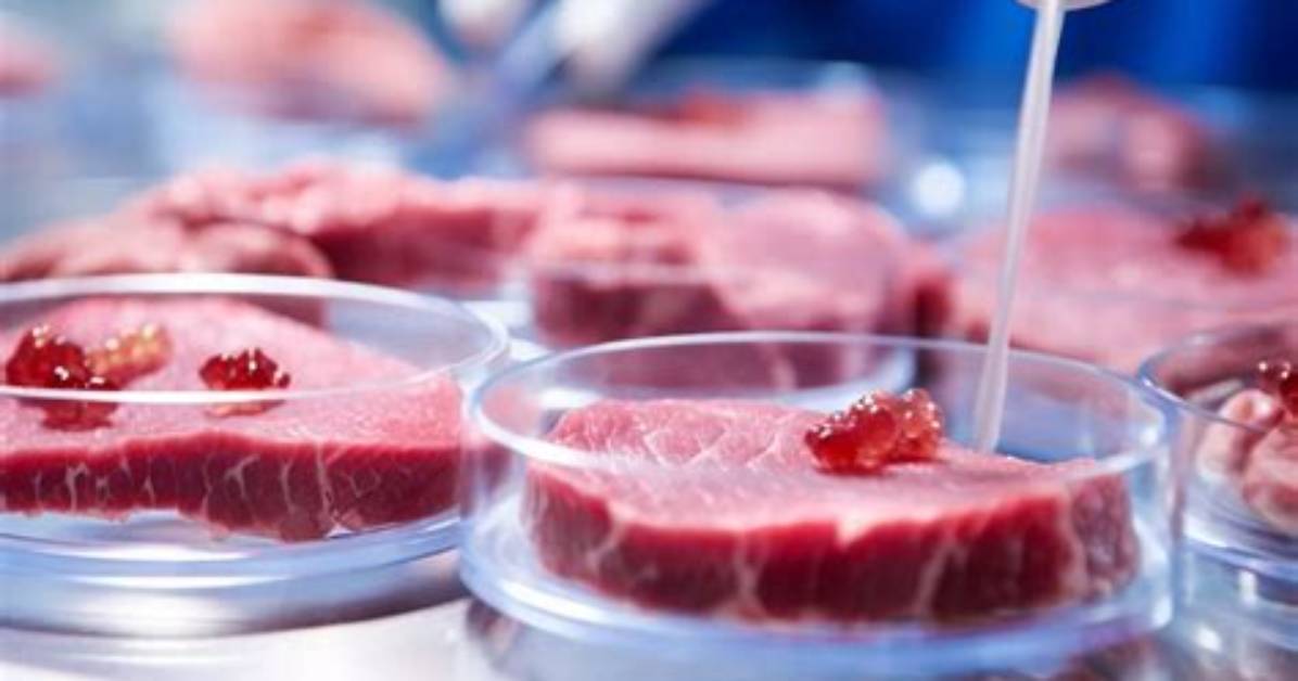 How ‘Lab-Grown’ Meat Is Made and Will People Accept It?