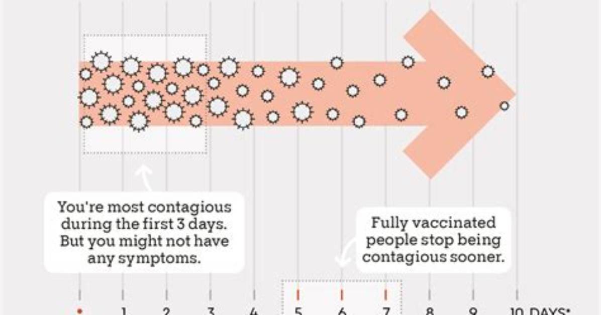 How Long Could I Be Contagious Before a Positive Virus Test?
