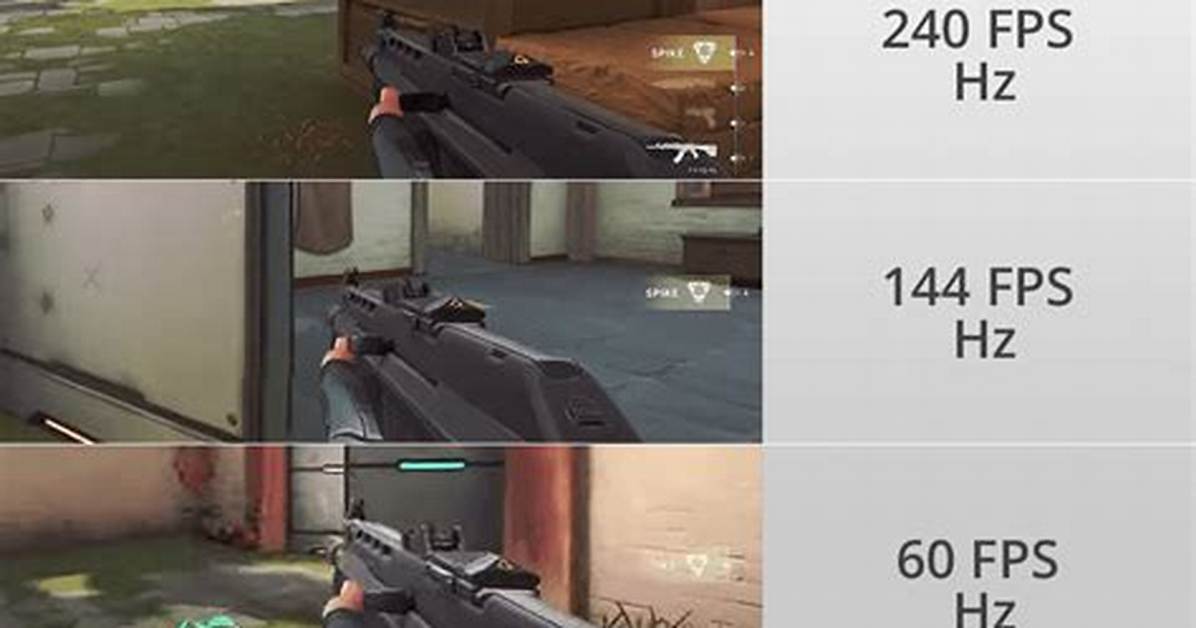 How Many Fps Can the Cat Eye See?