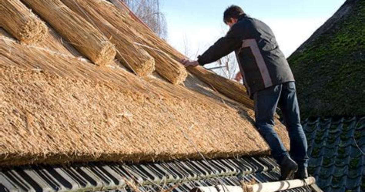 How Much Does Thatch Roof Cost?
