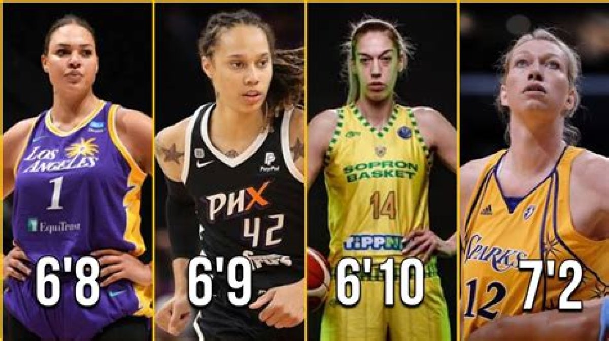How Tall Is the Average Wnba Player?
