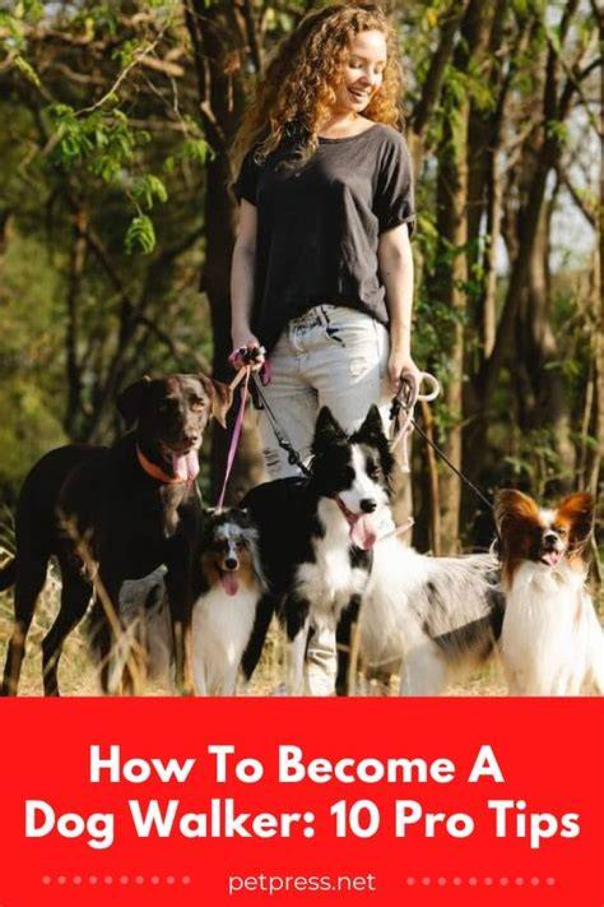 How to Become a Teenage Dog Walker?