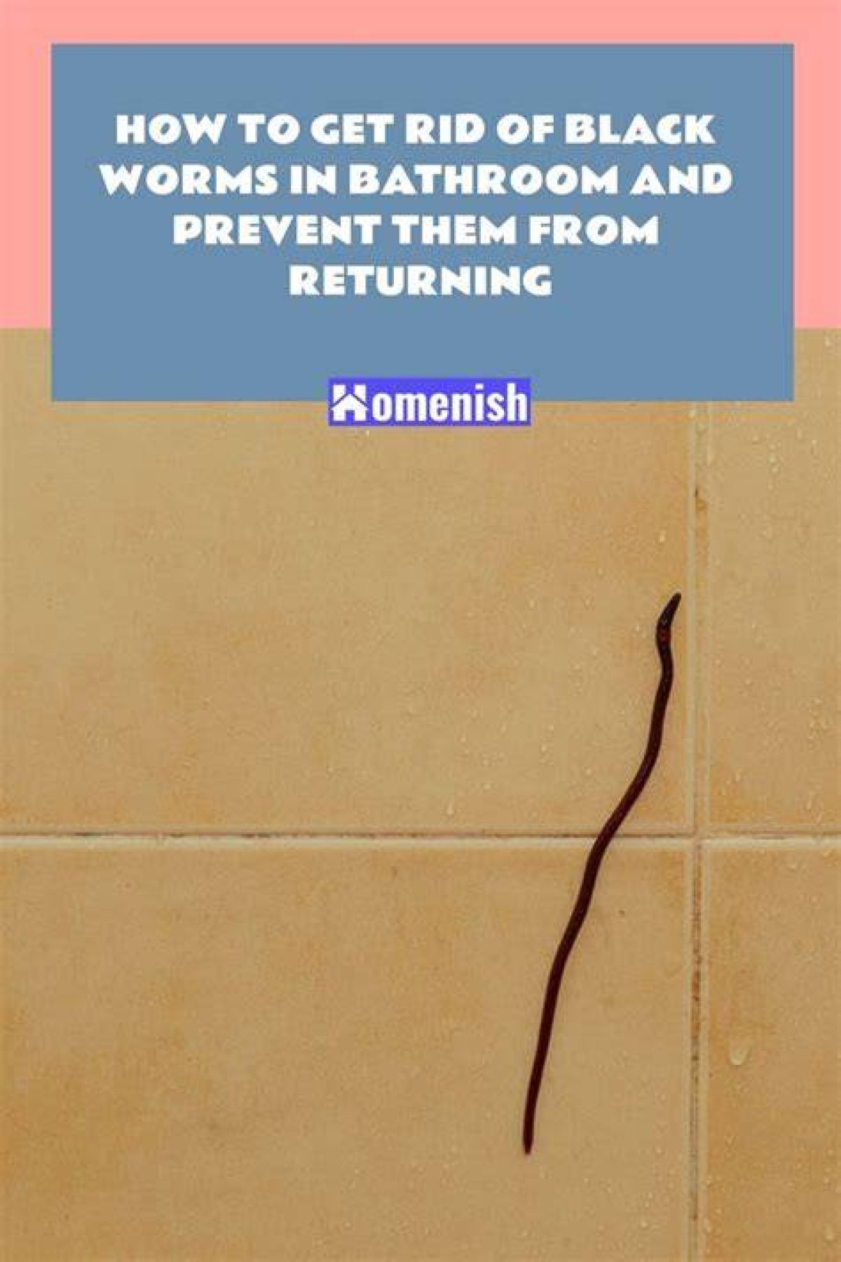 How to Get Rid of Black Worms in Bathroom