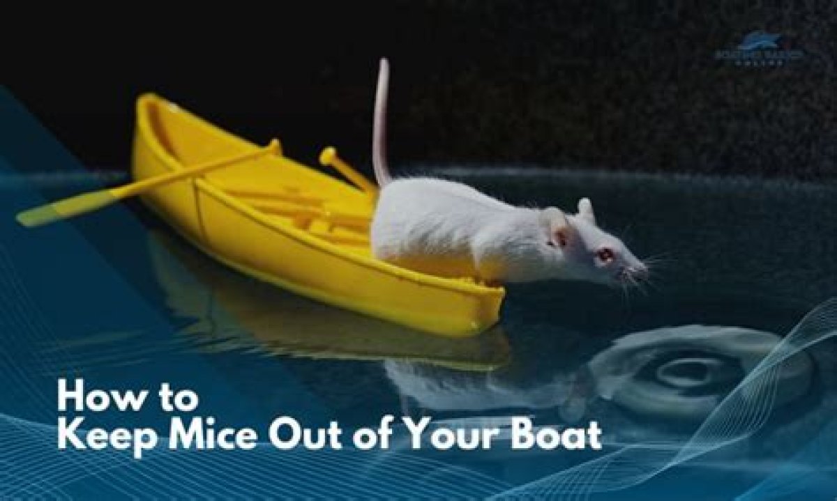 How to Keep Mice out of Boat in Winter Storage?