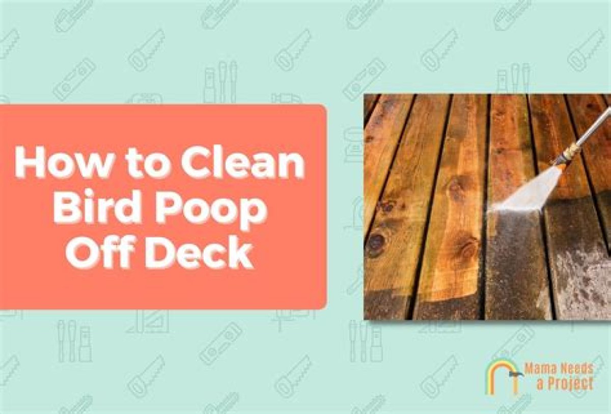 How to Remove Bird Poop from Deck?