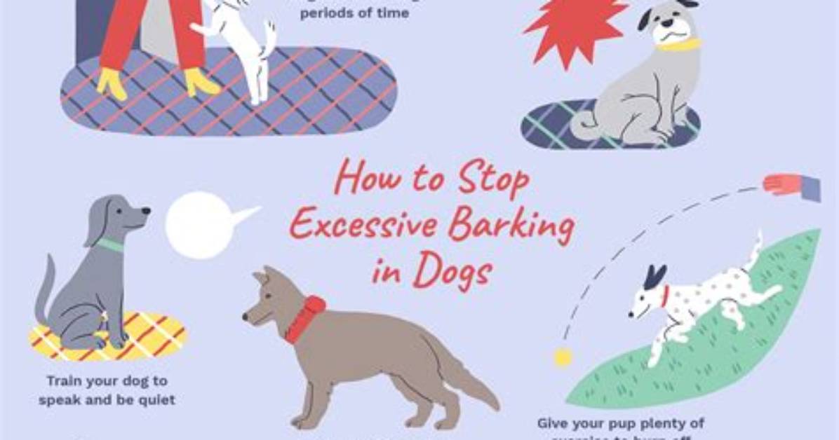 How to Stop Your Dog Barking at the Doorbell
