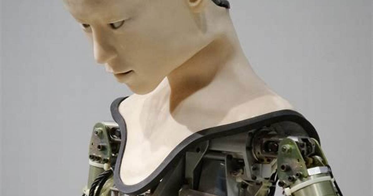 Human/Robot Hybrid