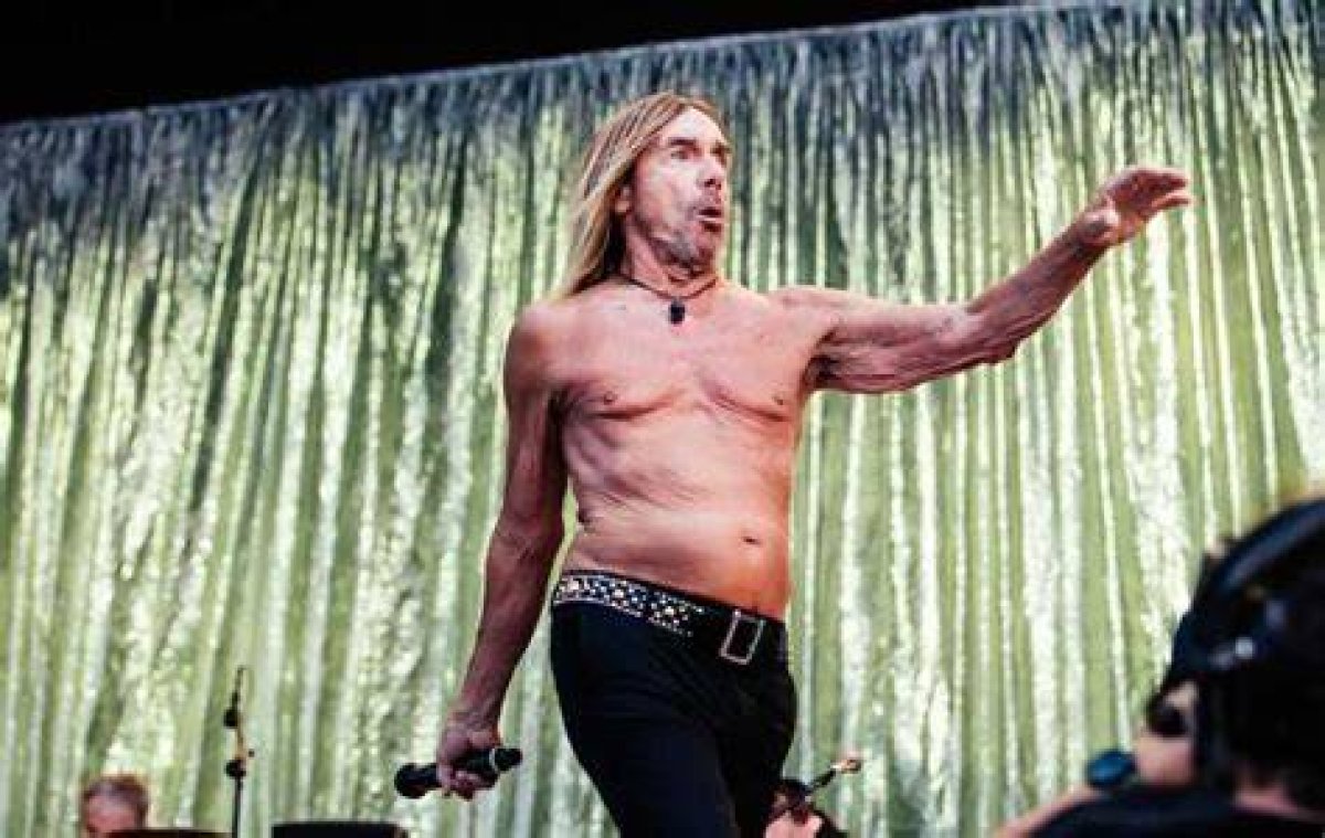 Iggy Pop from Italy | Popnable
