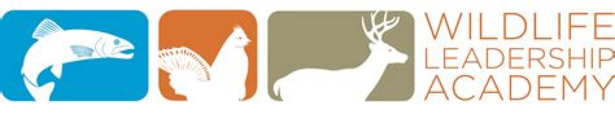 Impact Academy - Wildlife Conservation - School of Professional & Continuing Studies
