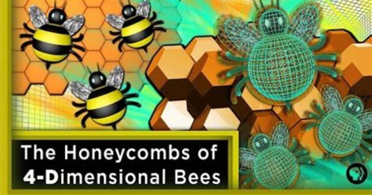 Infinite Series | the Honeycombs of 4-Dimensional Bees Ft. Joe Hanson | Season 1 | Episode 32