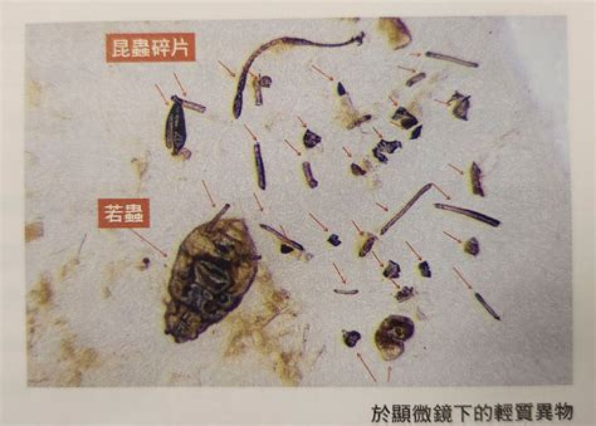 Insect Parts, Parasites, Hair Among ‘Light Filth’ Found in Preserved Vegetables, Hong Kong’s Consumer Watchdog Reveals