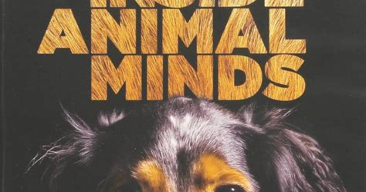 Inside Animal Minds | Nova