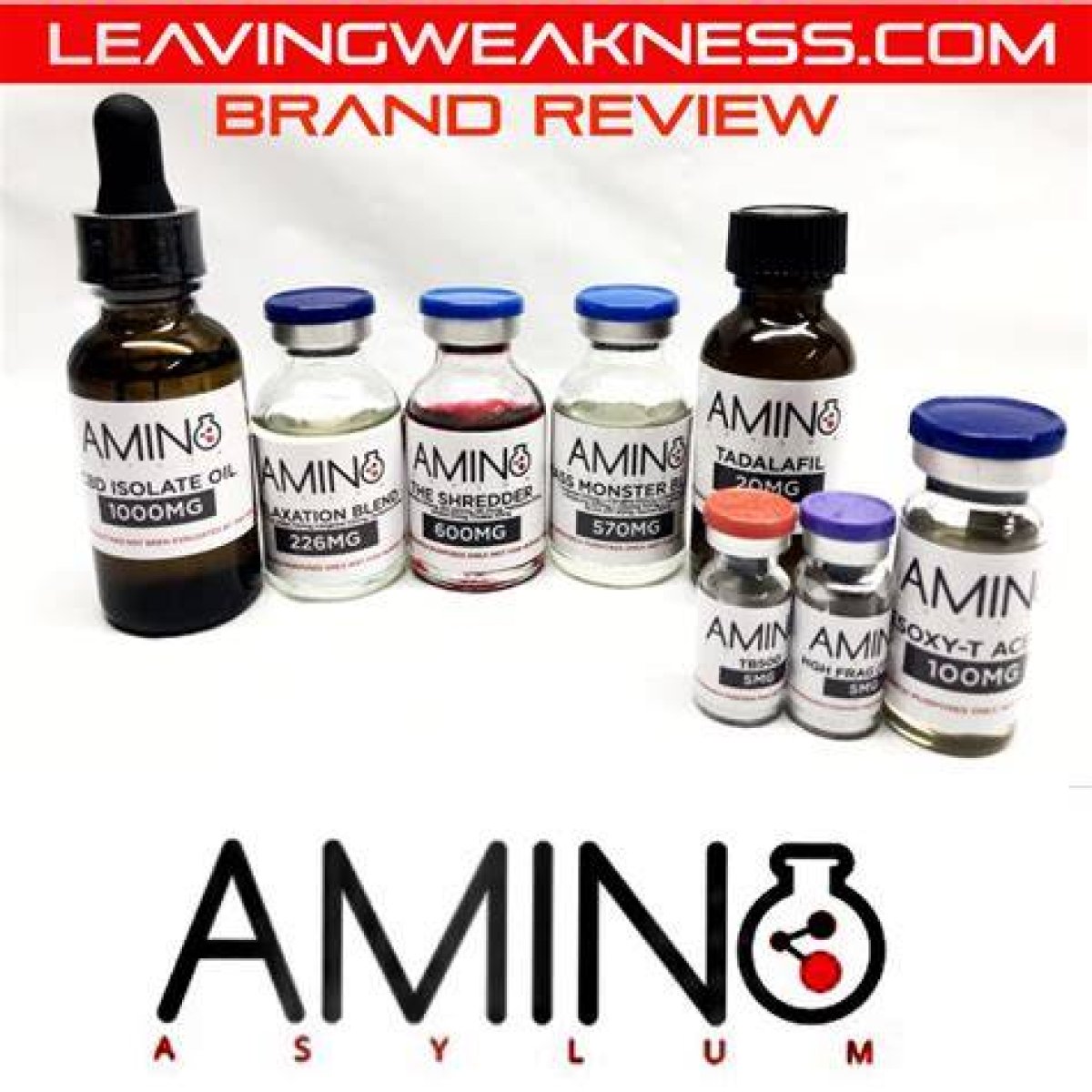 Is Amino Asylum Legit?