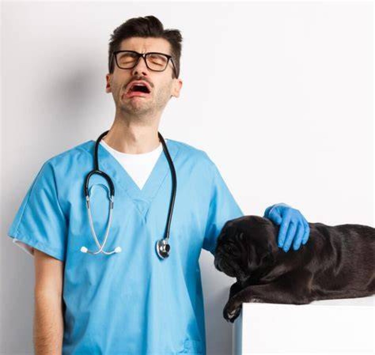 Is Being a Vet Worth It Financially?