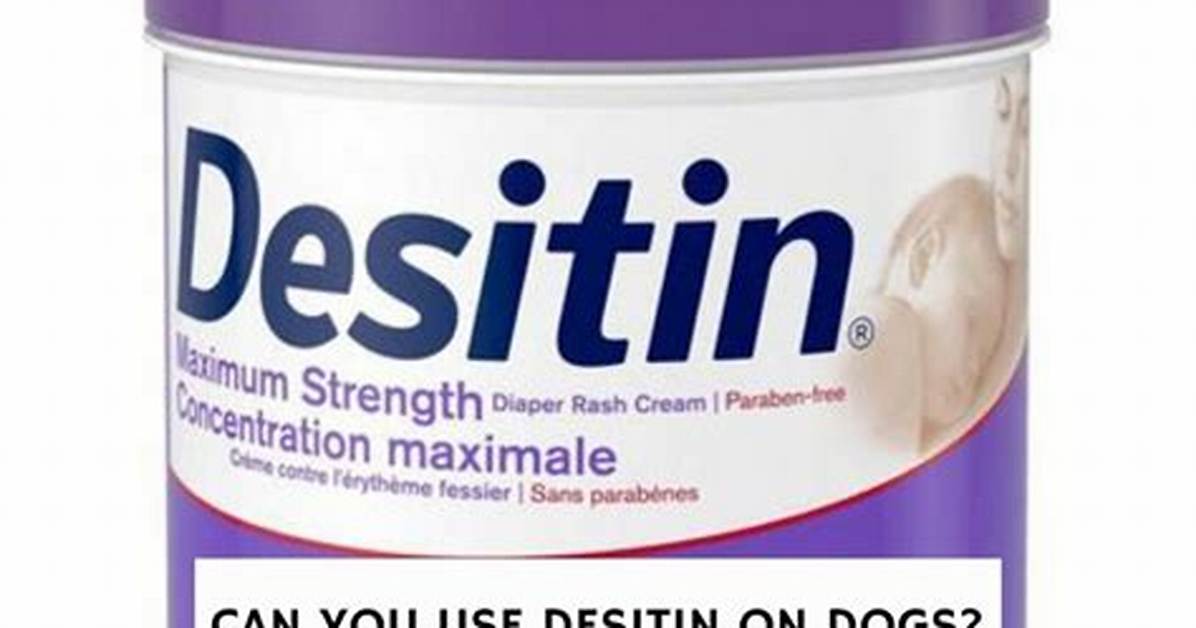 Is Desitin Safe for Dogs?