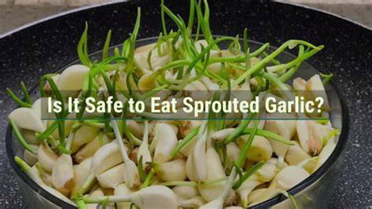 Is It Safe to Eat Sprouted Garlic?