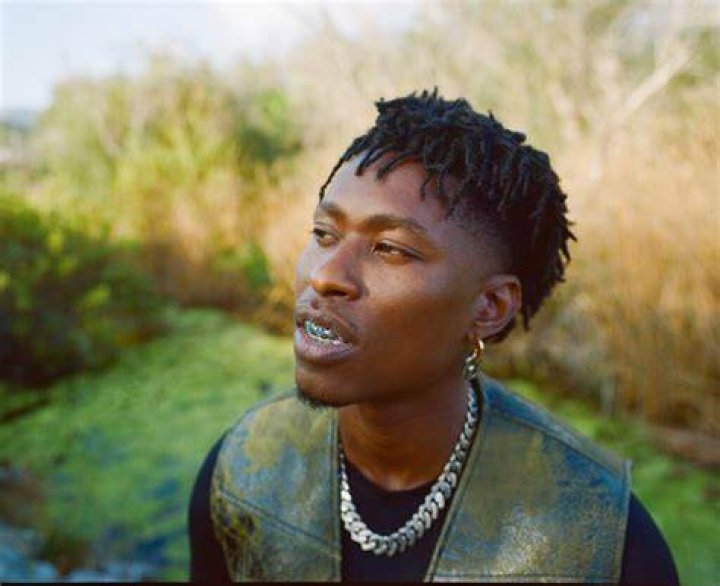 Is Lucky Daye Gay: Early Life, Career Everything You Need to Know!