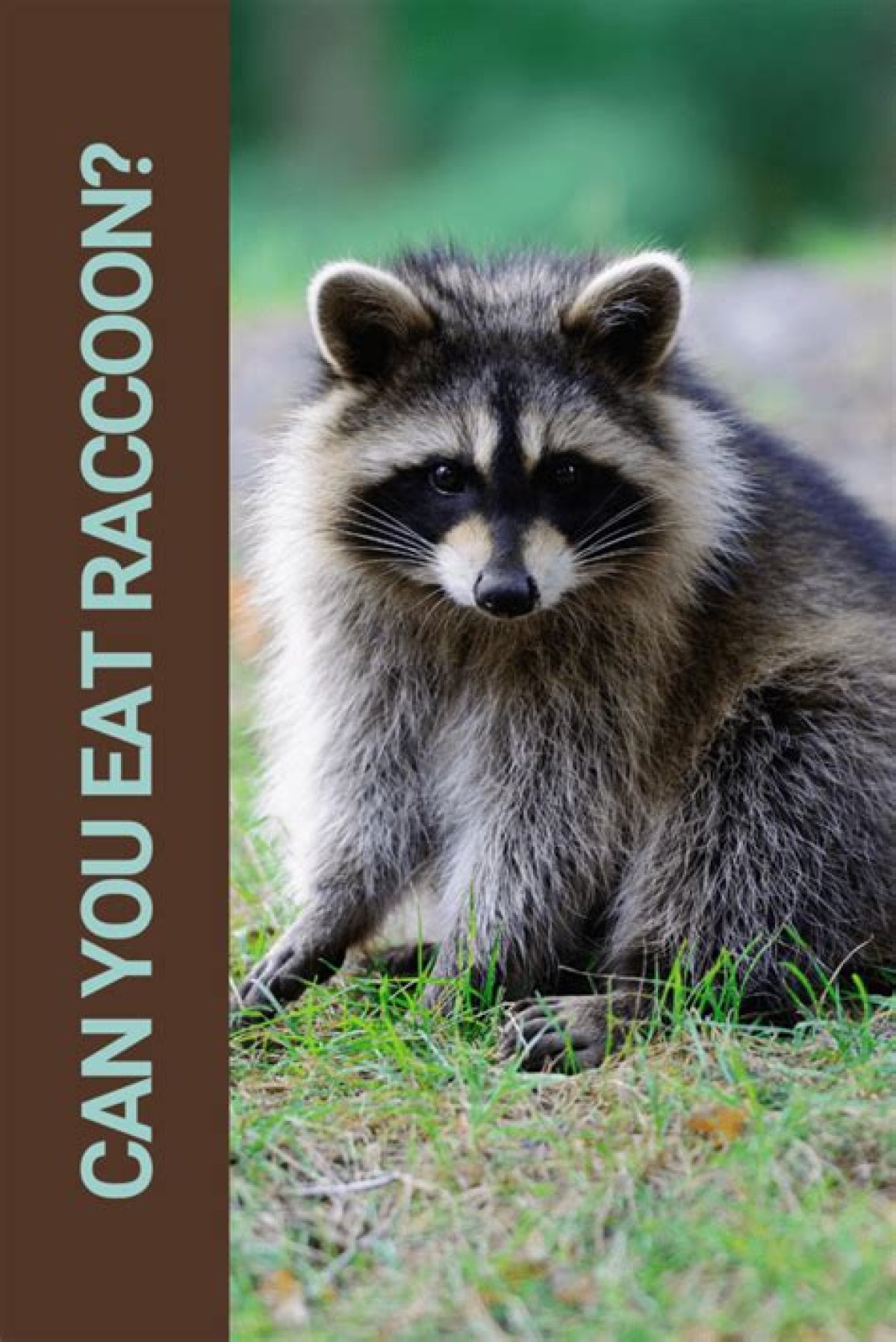 Is Raccoon Good to Eat?
