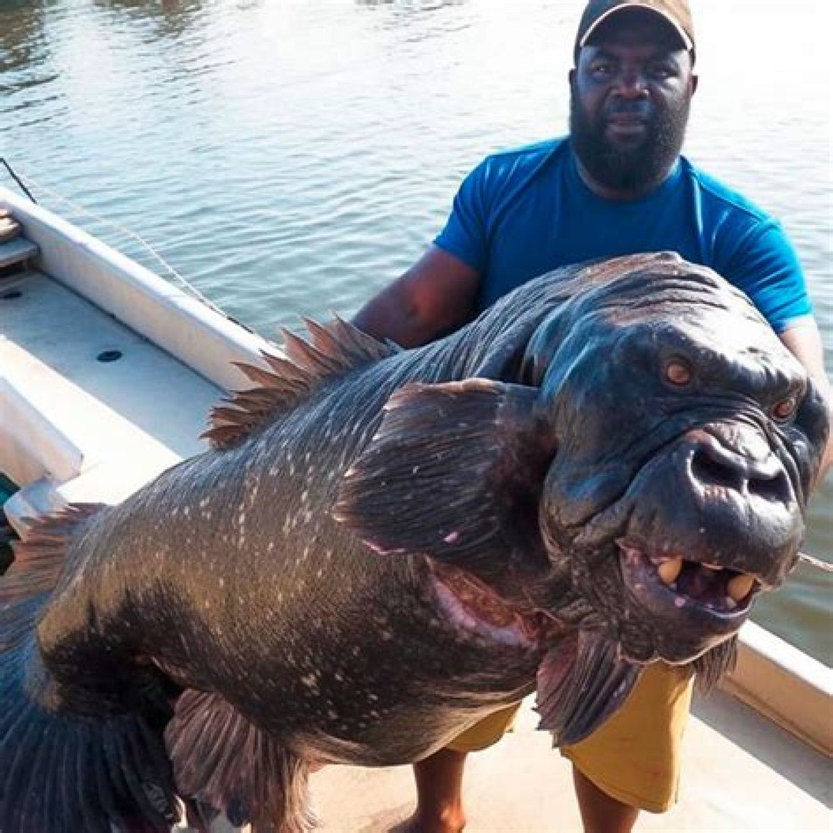 Is the 'Algerian Gorilla Fish' Real? Tiktok Fell for It Hook, Line and Sinker