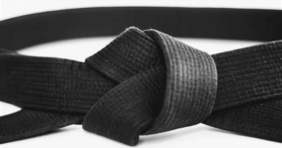 Is There a Black Belt Database?
