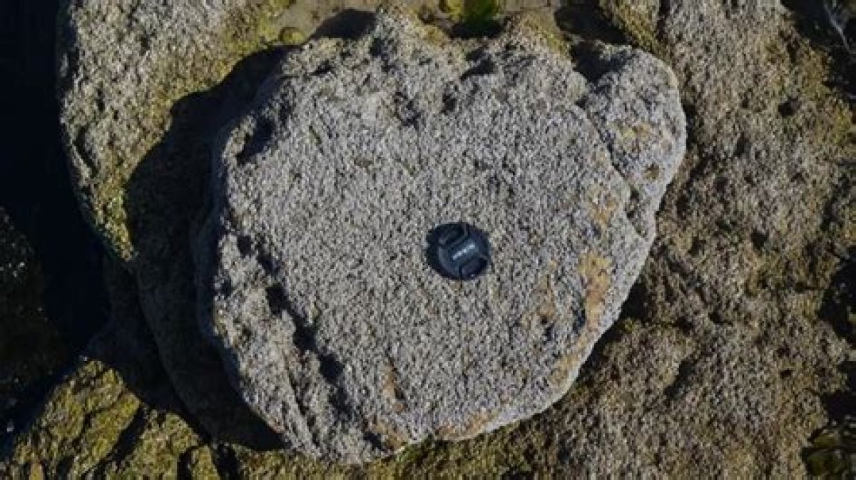 Isle of Skye Discovers a Vast Repository of Dinosaur Footprints