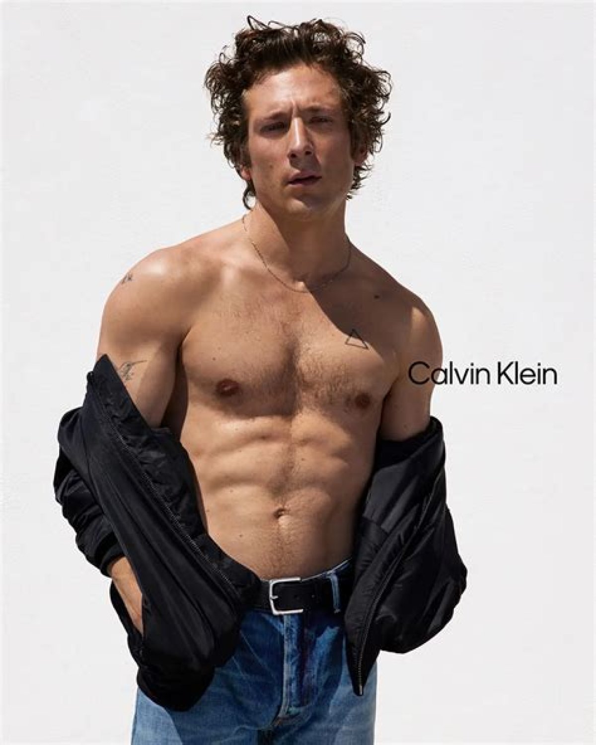 Jeremy Allen White's Calvin Klein Advertisement Couch up for Grabs for Free? the Bear Actor Responds to the News