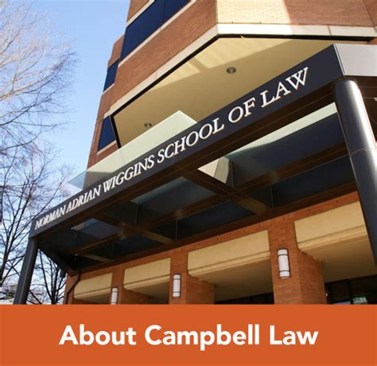 Jud Campbell - School of Law