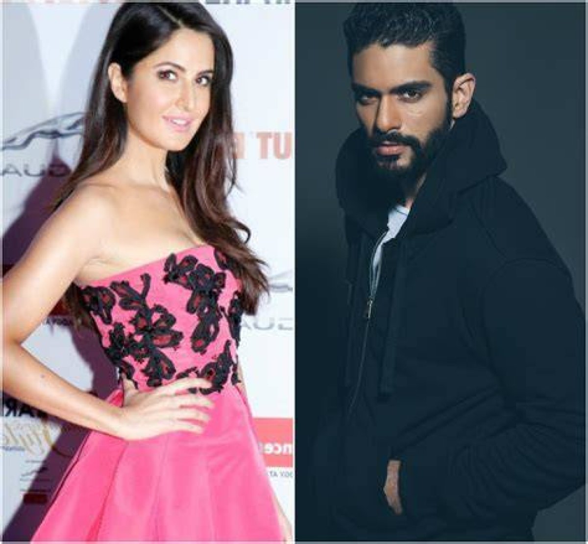 Katrina Kaif Gets Praise from Angad Bedi for Merry Christmas Performance; Latter Drops Fun Video Ft Vicky Kaushal