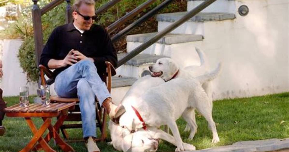 Kevin Costner's New Dog: a Heartwarming Addition to His Family