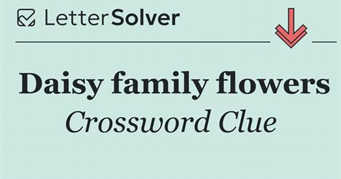 Kind of Daisy Crossword Clue