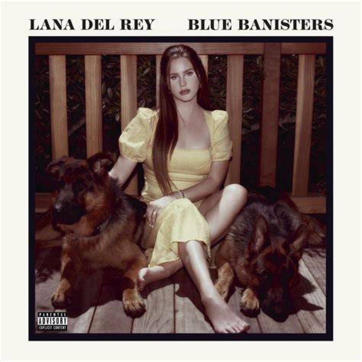 Lana Del Rey’s “Blue Banisters” Lyrics Meaning