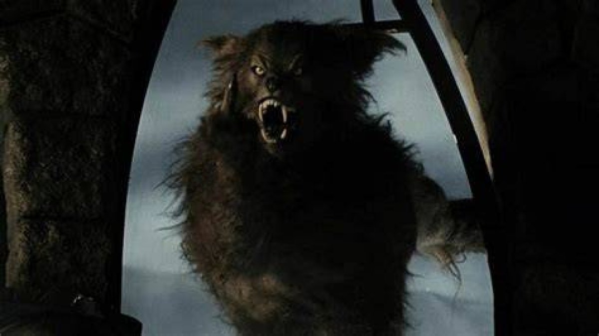 Las 15 Mejores Películas De Hombres Lobo De Todos Los Tiempos