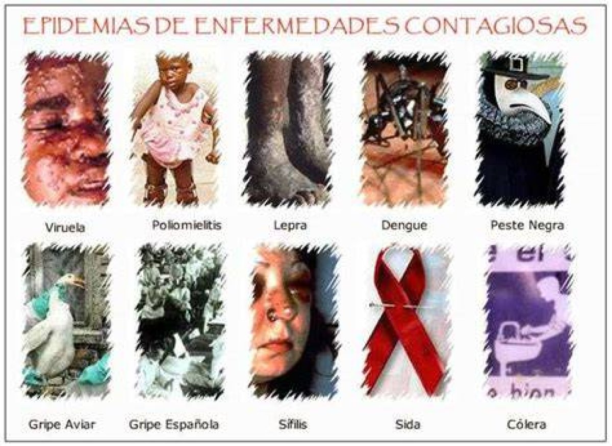 Las Diez Enfermedades Contagiosas Que Causan Más Muertes (Y No Está El Ébola)