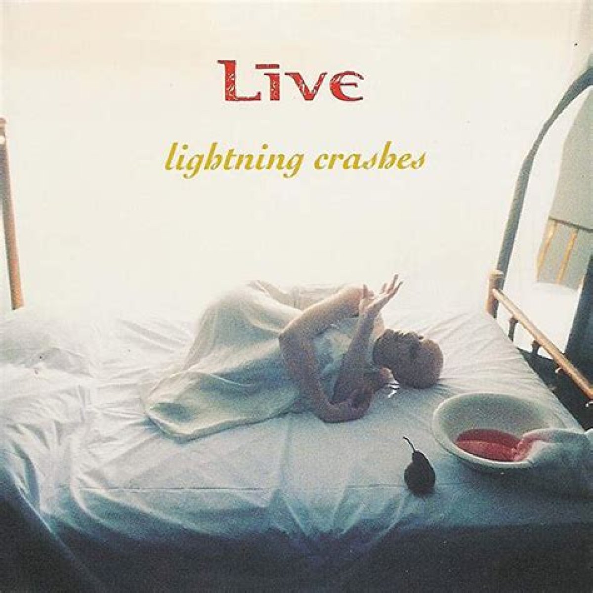 Lightning Crashes – the Transcendental Cycle of Life and Death