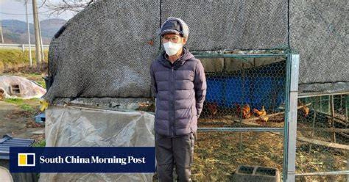 Lingerie, Secret Tunnels, and Chickens: a North Korean Defector’s Tale