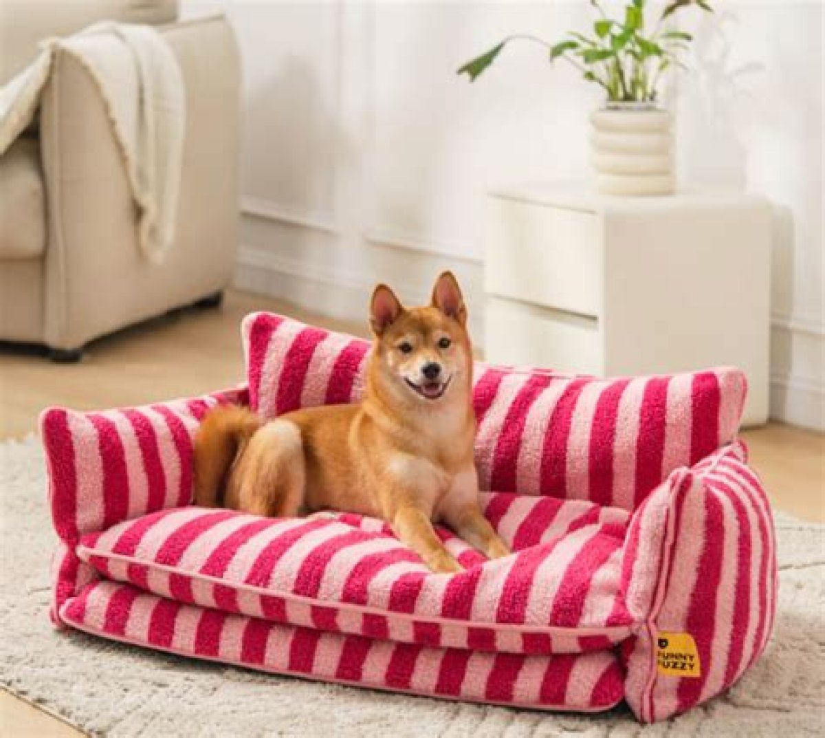 Living Life with a Furry Companion: the Journey of a Person with Pet