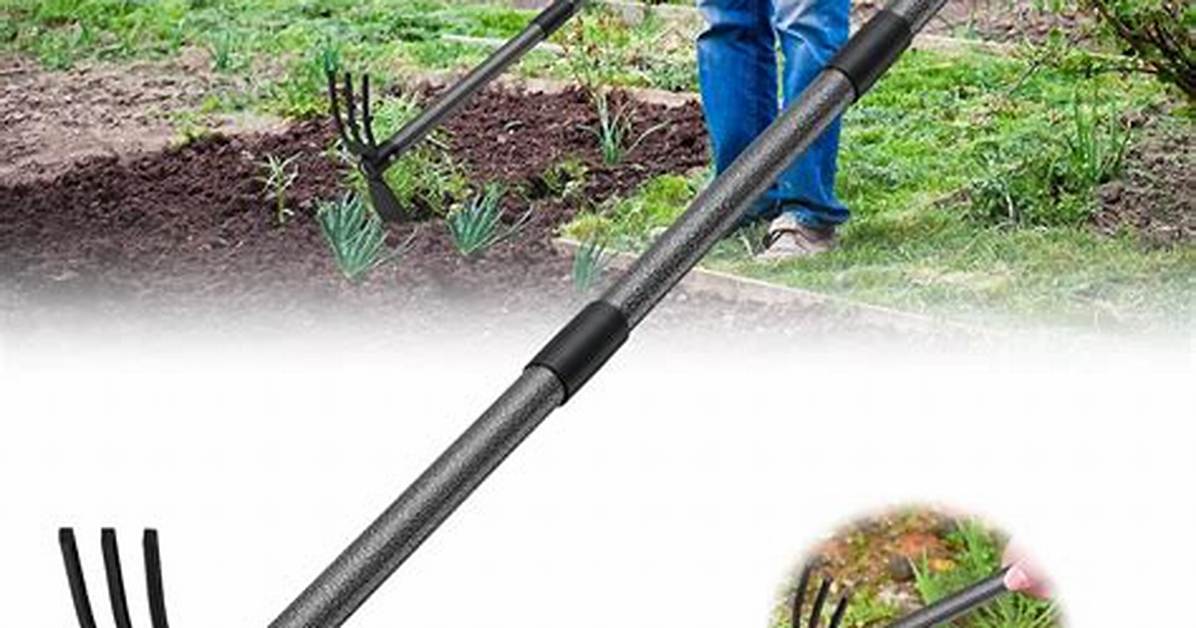 Long-Handled Tool for a Gardener