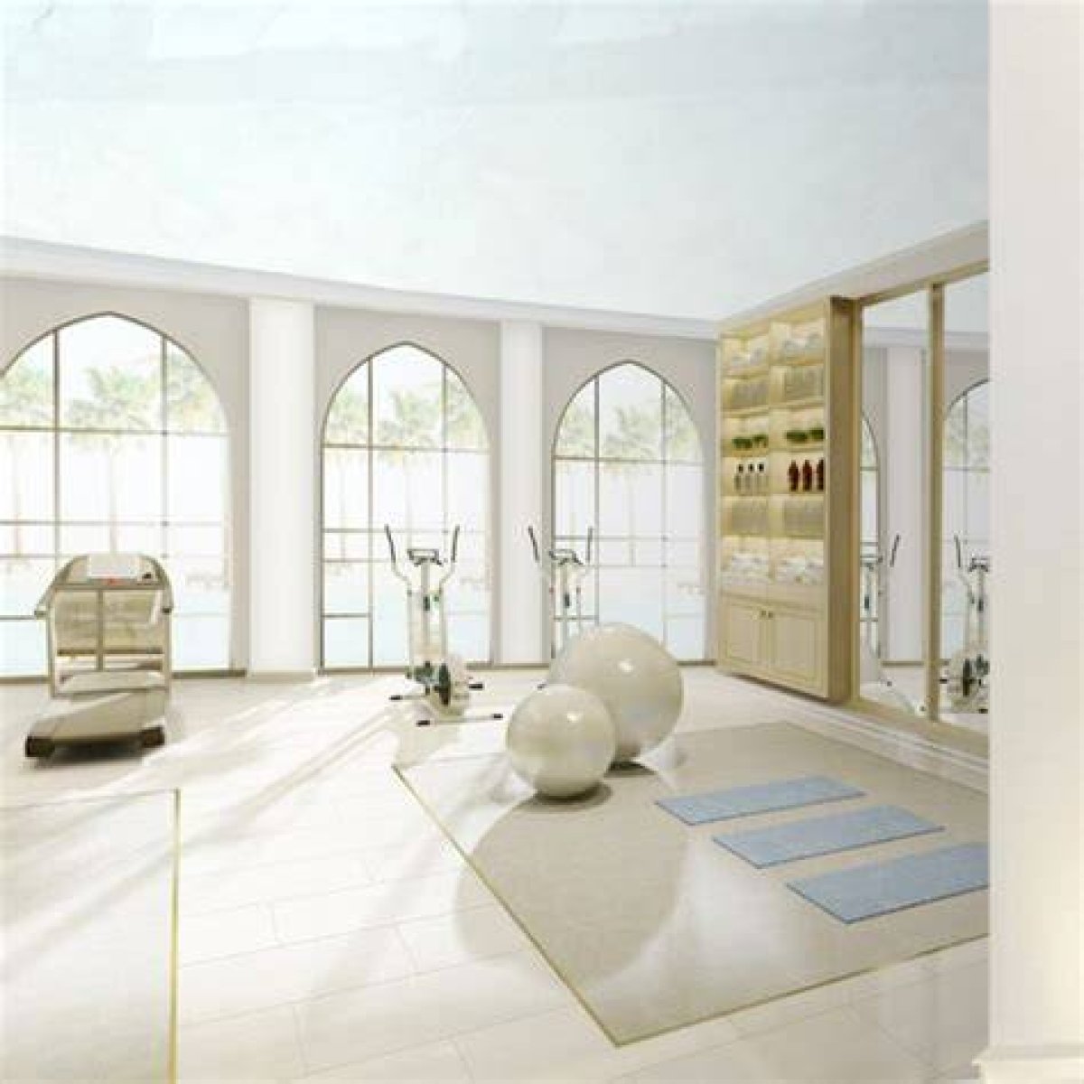 Luxurious State-of-the-Art Gym Takes Fitness and Relaxation to New Levels