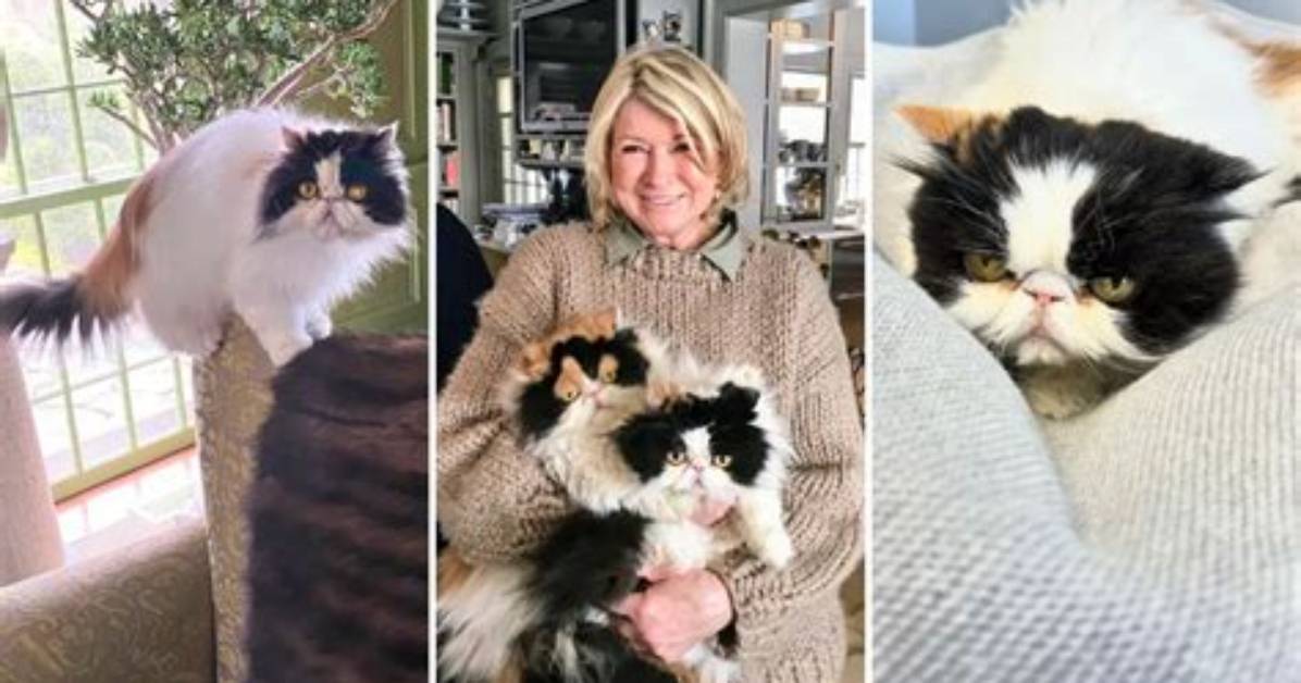 Martha Stewart Mourns the Loss of a Beloved Family Member