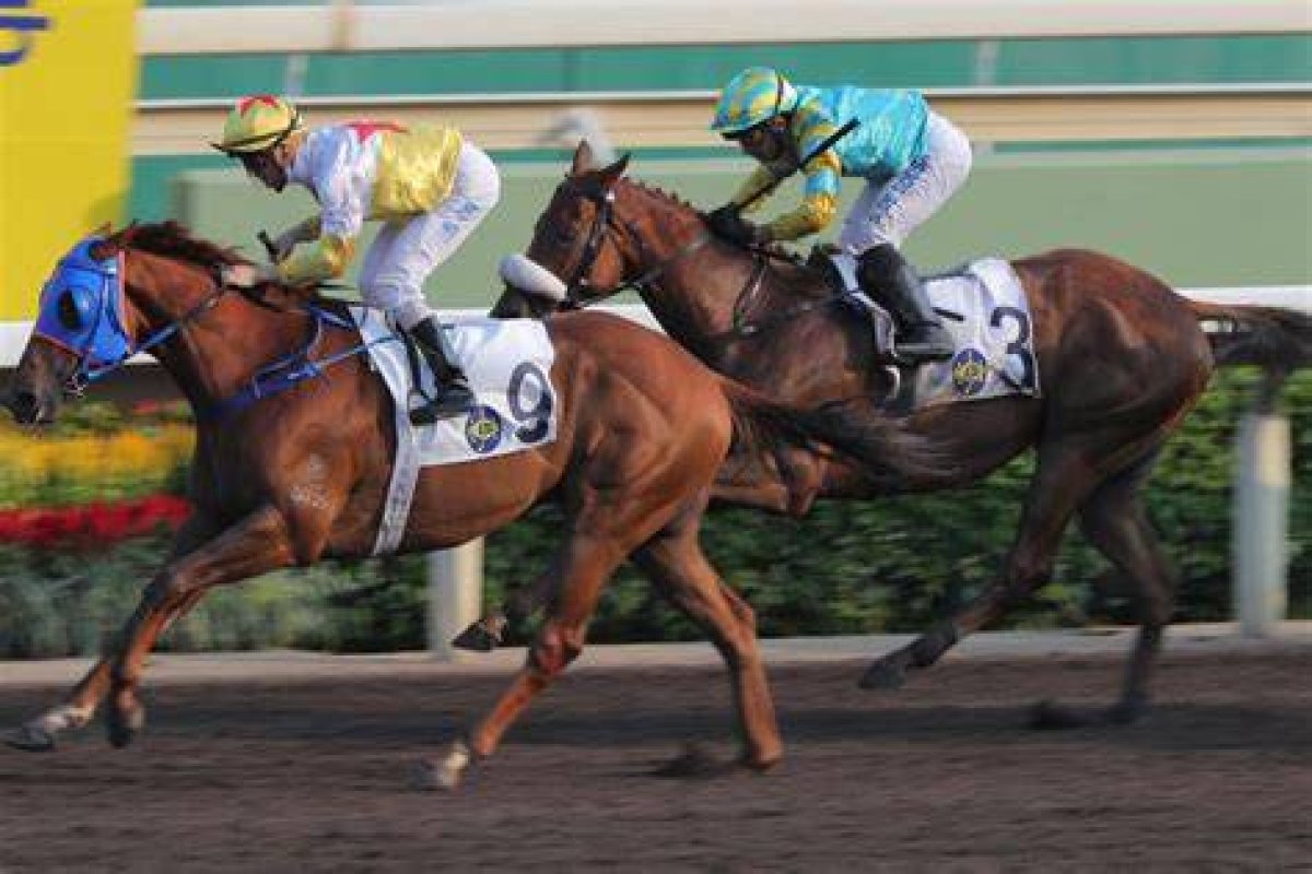 Maximus Seeks Vengeance Two Year's, 236 Days and Wednesday Morning After Last Win | Hk Racing