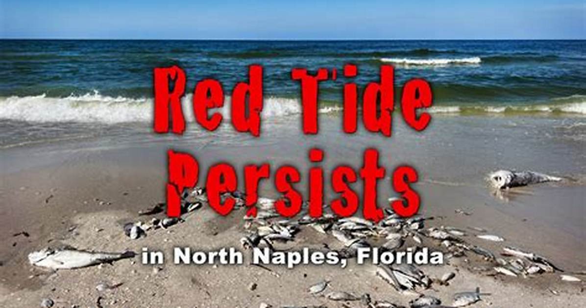 Meaning of Red Tide as Naples Beaches in Florida Are on High Alert in 2023