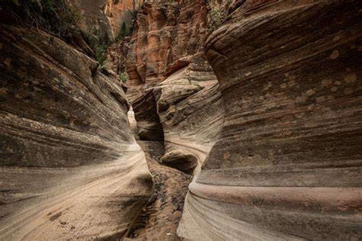 Metrofocus | “Echo in the Canyon” | Season 2019