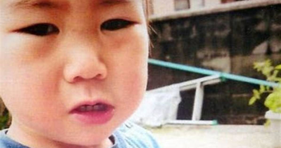 Miraculous Survival of Japanese Toddler Yoshiki Fujimoto, Lost in Woods for Three Days