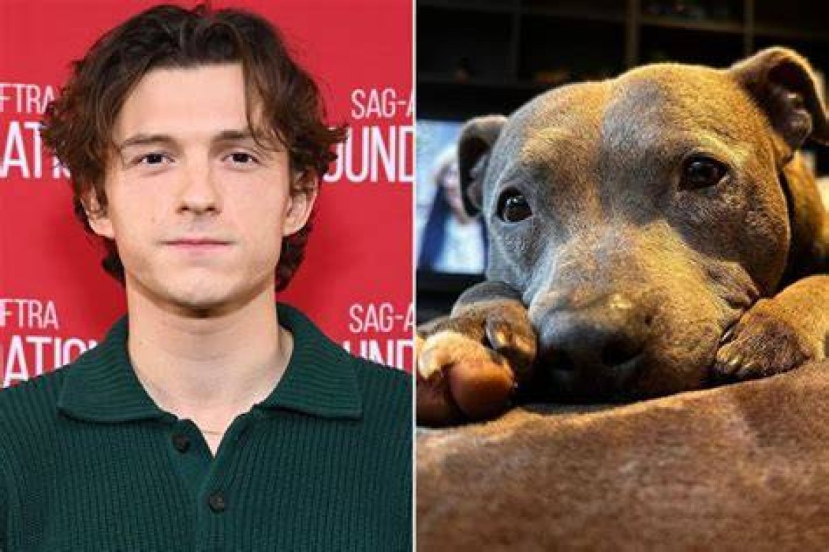 'Missing My Lady': Tom Holland Pays Tribute to Beloved Pet Dog Tessa After Her Passing