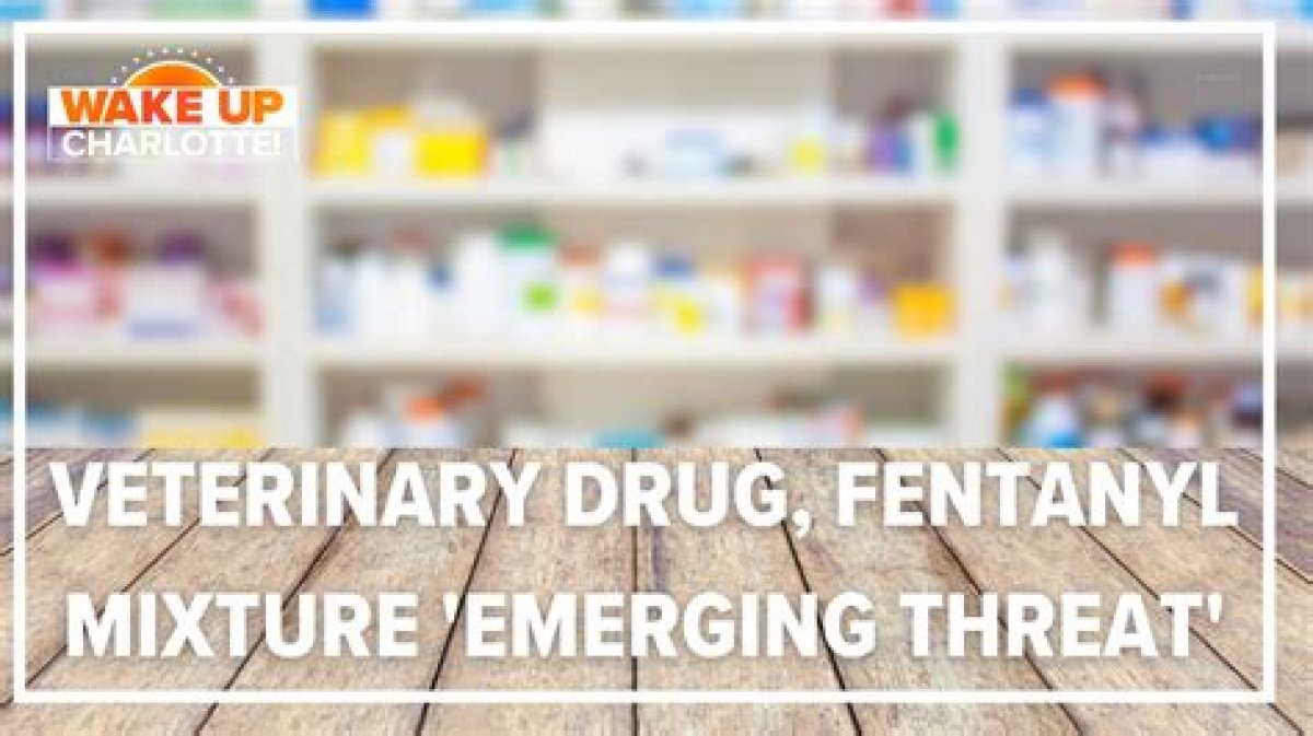 Mix of Vet Tranquilizer, Fentanyl ‘Emerging Threat, ’ White House Drug Office Says