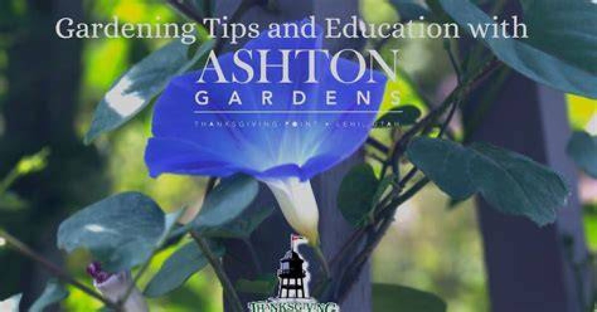 Modern Gardener | Ashton Gardens | Episode 11