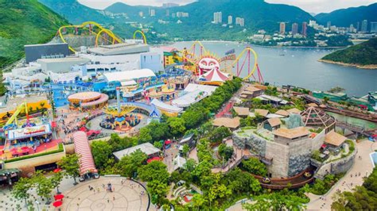 ‘Molly’, Hong Kong Ocean Park’s Oldest Male Indo-Pacific Bottlenose Dolphin, Dies Aged 40