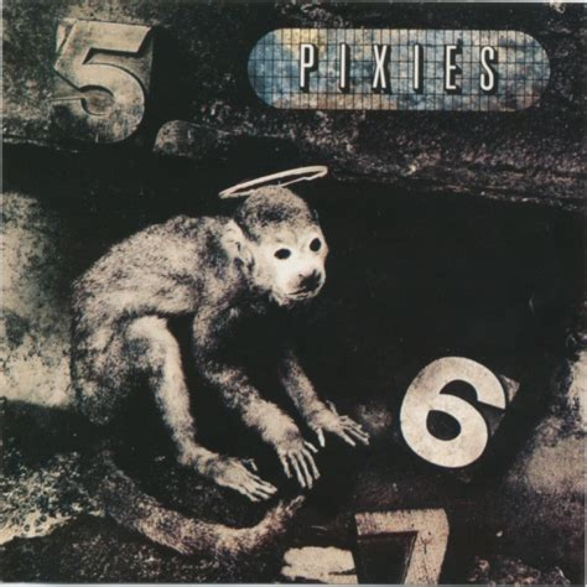 Monkey Gone to Heaven by the Pixies Lyrics Meaning – Unraveling the Apocalyptic Anthem of Our Time